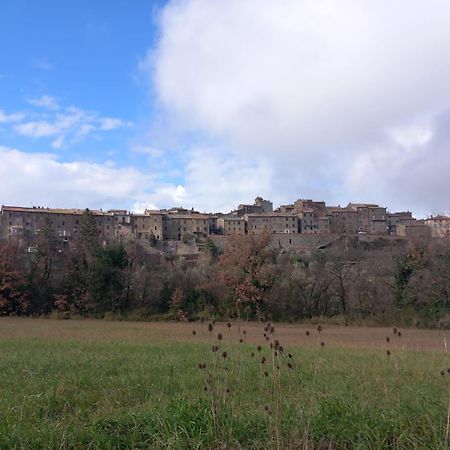 Casa Vacanza In Casale Vicino Orvieto Ficulle Zewnętrze zdjęcie