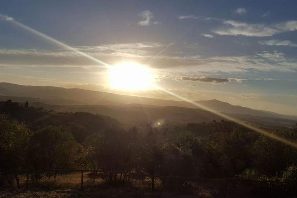Casa Vacanza In Casale Vicino Orvieto Ficulle Zewnętrze zdjęcie
