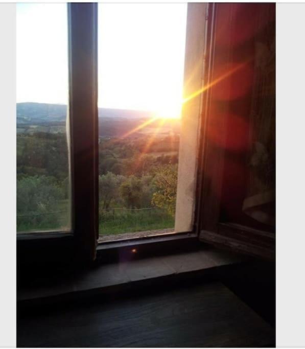 Casa Vacanza In Casale Vicino Orvieto Ficulle Zewnętrze zdjęcie