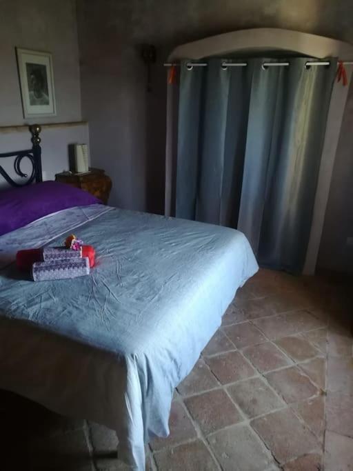 Casa Vacanza In Casale Vicino Orvieto Ficulle Zewnętrze zdjęcie