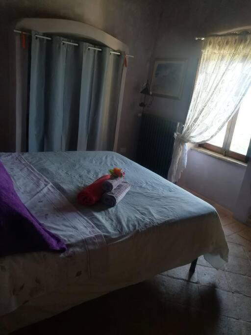 Casa Vacanza In Casale Vicino Orvieto Ficulle Zewnętrze zdjęcie